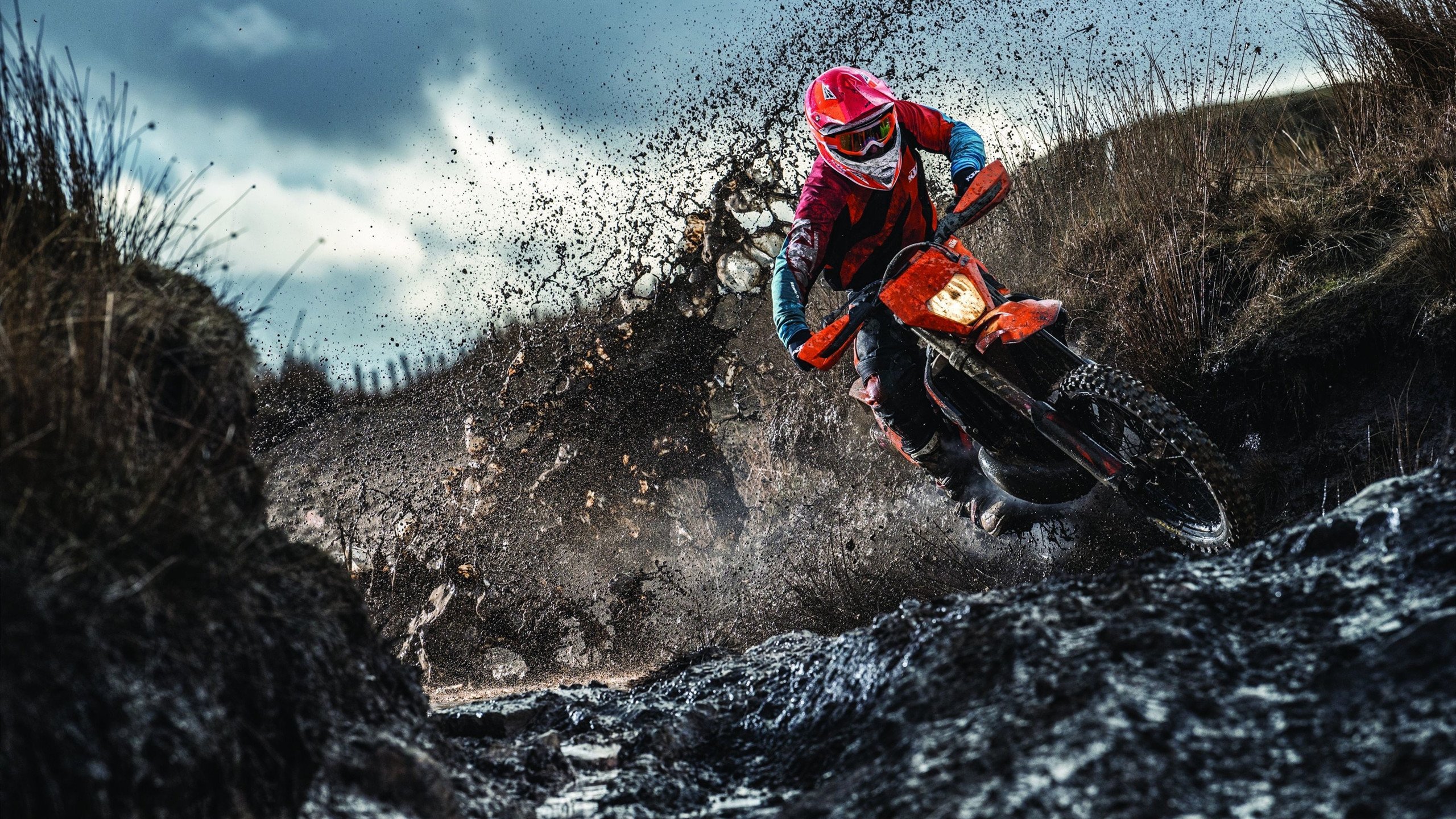 乌鸦那场真漂亮，攻防一体的范本，乌鸦salt