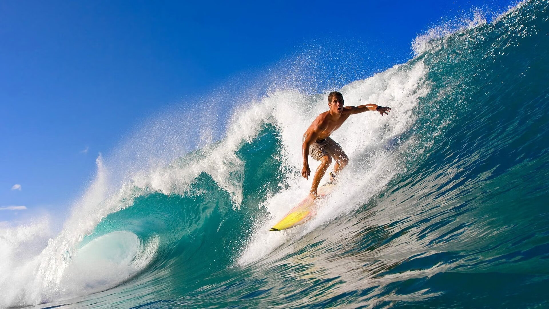 公牛队击败劲敌，士气大振，公牛队集锦